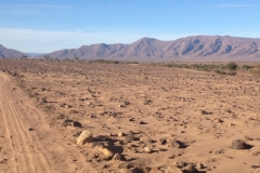 6754 14-2 view