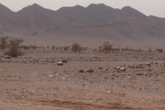 6799 18-2 view