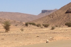 6836 19-2 view