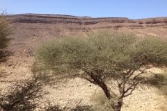 6837 19-2 view