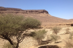 6838 19-2 view
