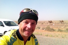 6864 19-2 Brian &camels