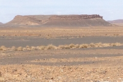6901 21-2 view