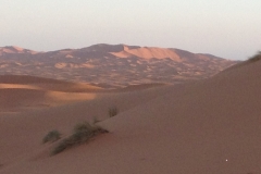 6912 22-2 morning view