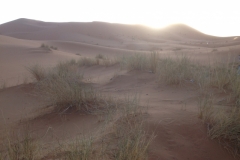 6915 22-2 morning view