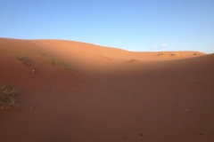 6916 22-2 morning view