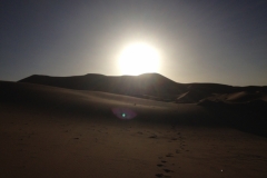 6917 22-2 morning view