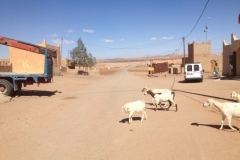 6942 22-2 goats