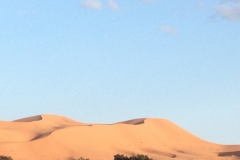 6946 22-2 dunes