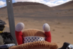 6955 23-2 BtS hat