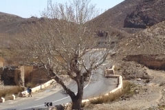7057 27 -2 road
