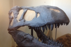 7086 28 -2 mineral museum