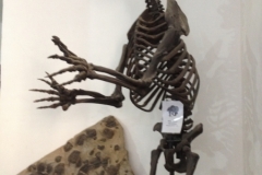 7088 28 -2 mineral museum