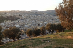 7199 6-3 Fes from hillside
