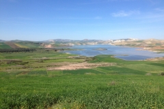 7218 7-3 green fields