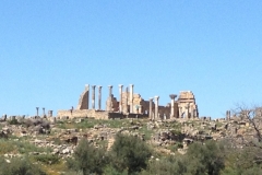 7235 8-3 ruins