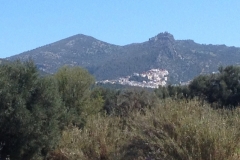 7236 8-3 view