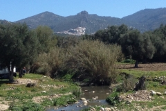 7238 8-3 river view