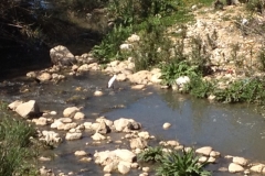 7239 8-3 river
