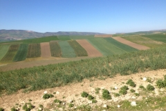7241 8-3 fields