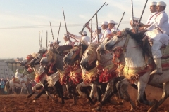 7294 11-3 horse festival