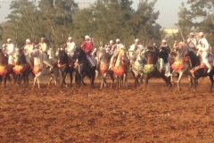 7296 11-3 horse festival