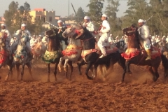 7297 11-3 horse festival