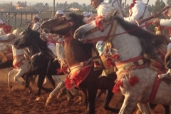 7298 11-3 horse festival