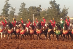 7299 11-3 horse festival