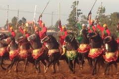 7300 11-3 horse festival