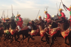 7301 11-3 horse festival