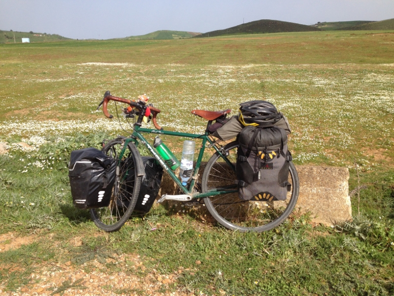 7439 15-3 Bike in a meadow