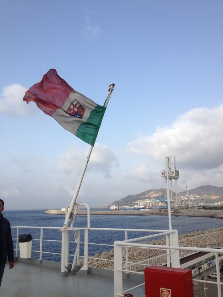 7494 18-3 flag