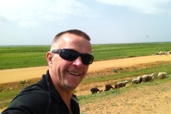 7436 15-3 Brian ad sheep