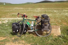 7439 15-3 Bike in a meadow