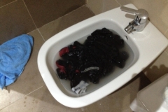 7452 16-3 washing