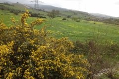 7465 17-3 view