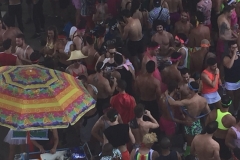 2481  12-2-18 crowd