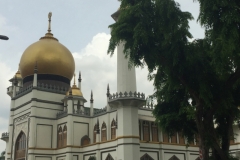 4089 25-11-18 domed building