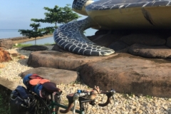 4116 28-11-18 turtle statue