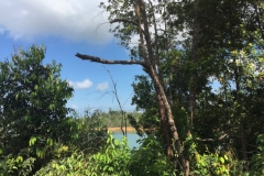 4118 28-11-18 view