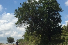 4120 28-11-18 road