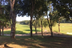 4124 28-11-18 golf course