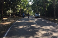 4126 28-11-18 road