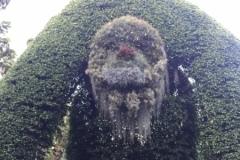 4130 29-11-18 topiary