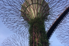 4131 29-11-18 fake tree