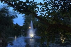 4137 29-11-18 fountain