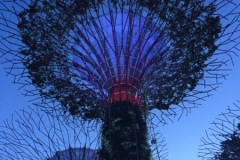 4138 29-11-18 fake tree