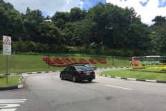 4156 2-12-18 Sentosa