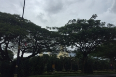 4171 3-12-18 view